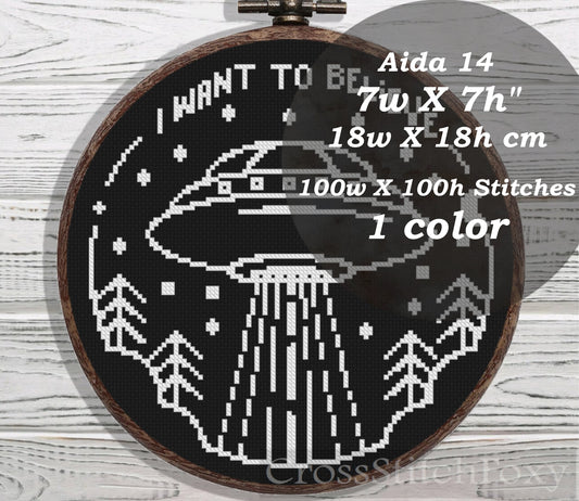 I Want To Believe cross stitch pattern