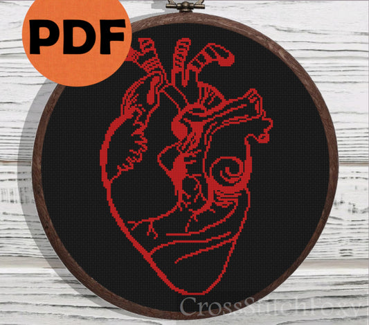 Anatomical Heart cross stitch pattern